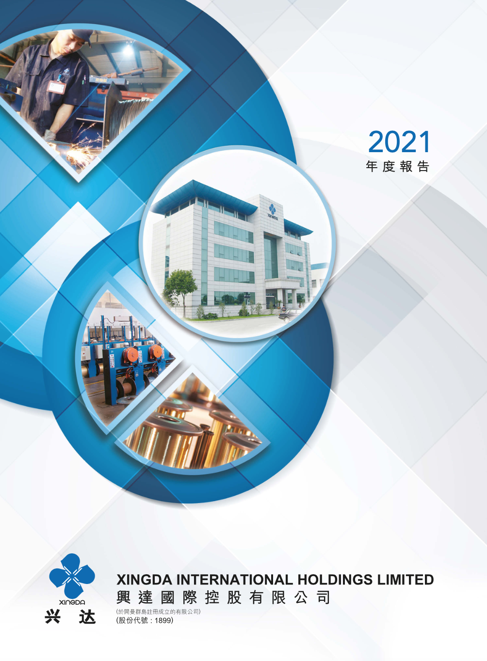 兴达2021年度报告